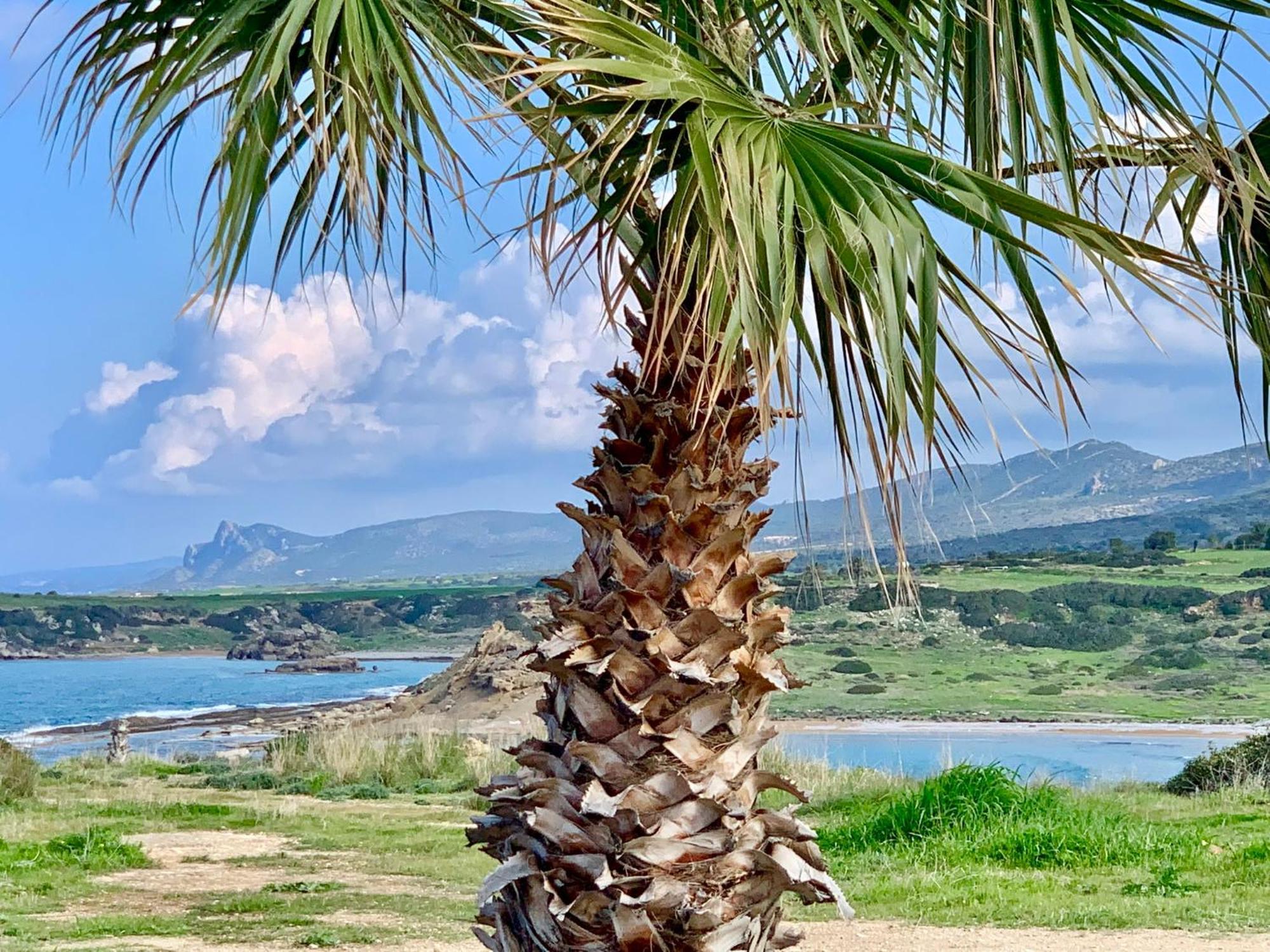 Boho Bay Apartment Akanthou Bagian luar foto