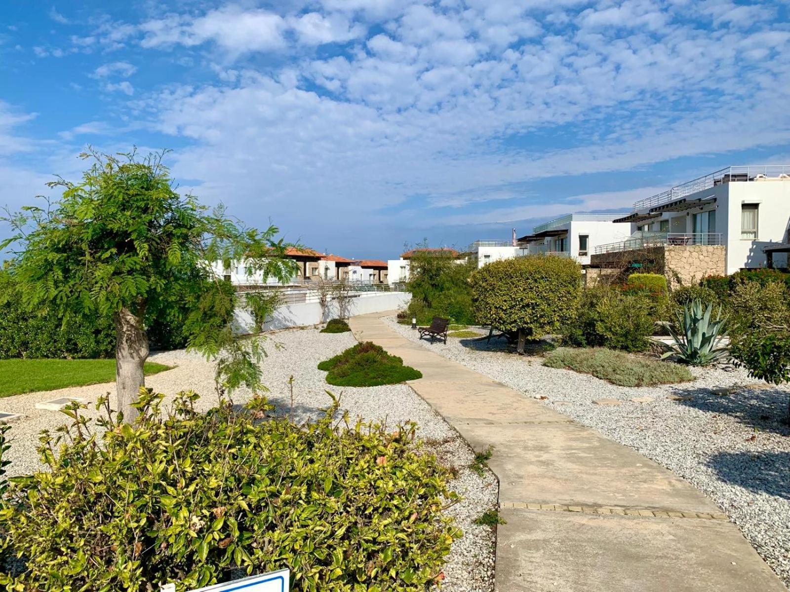 Boho Bay Apartment Akanthou Bagian luar foto