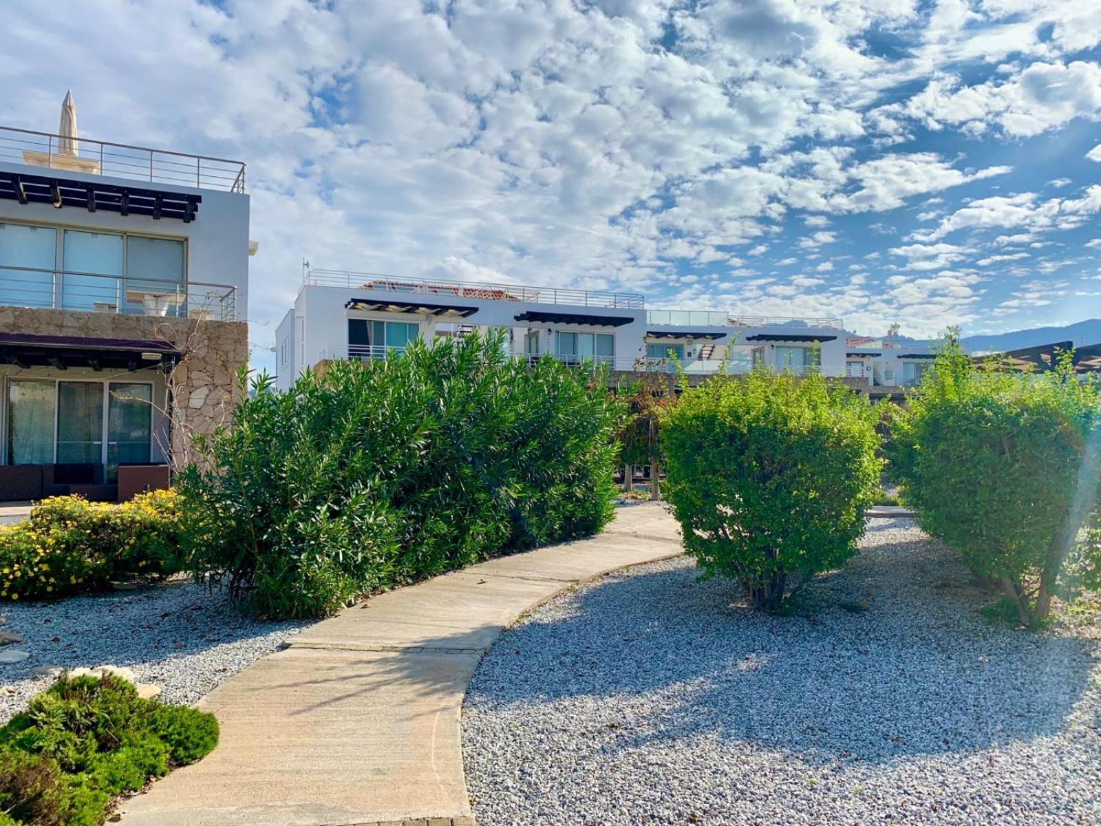 Boho Bay Apartment Akanthou Bagian luar foto