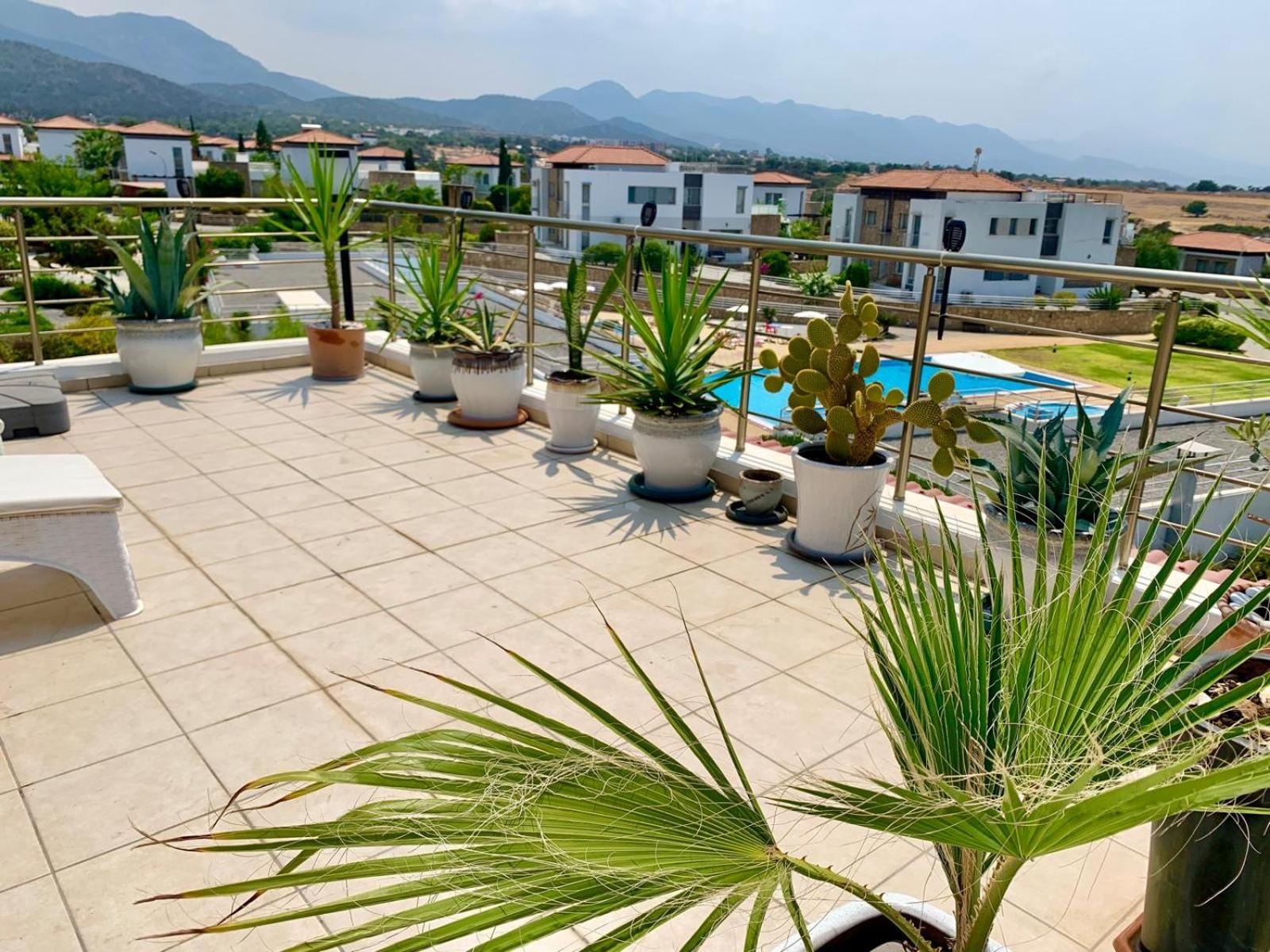 Boho Bay Apartment Akanthou Bagian luar foto