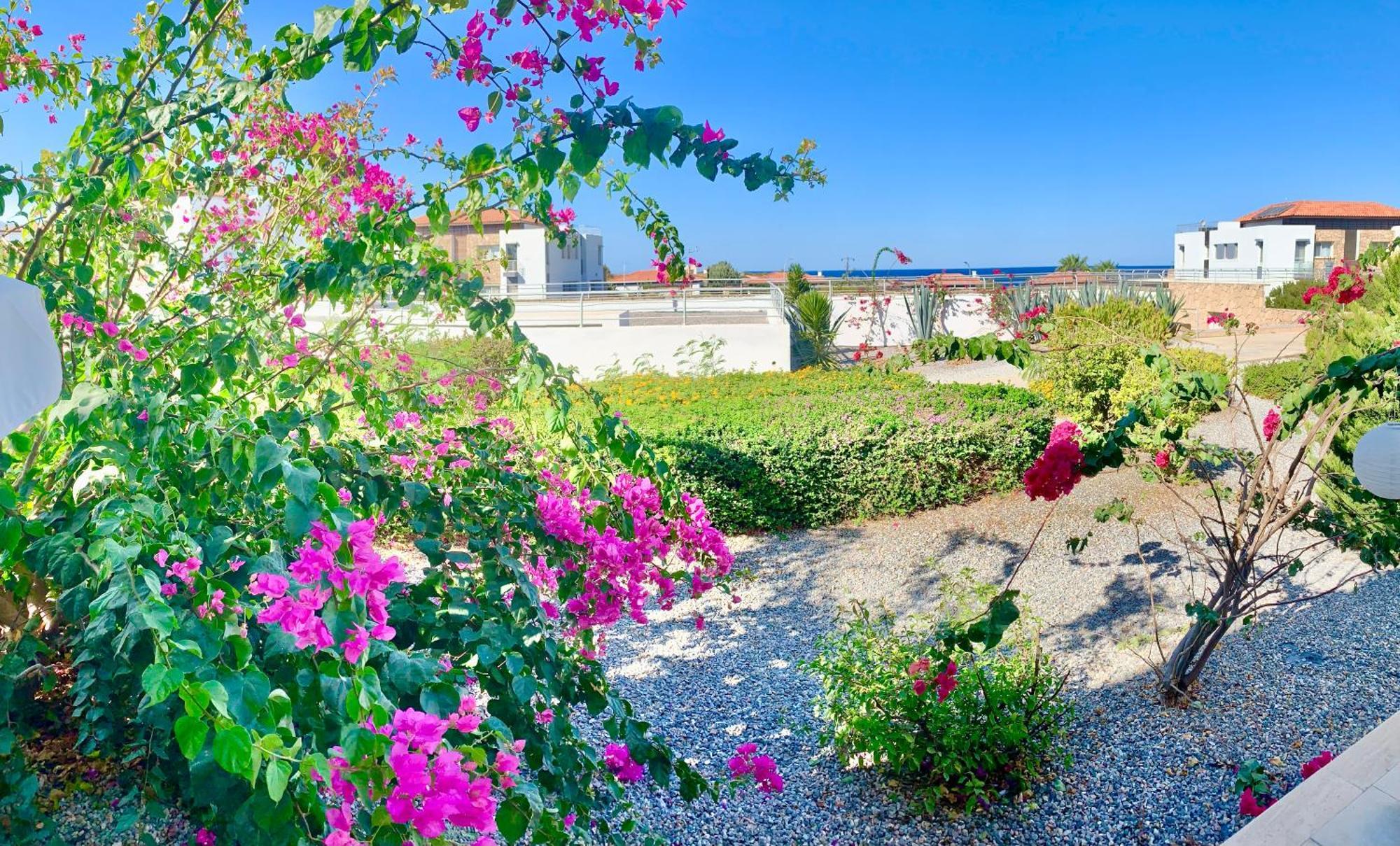 Boho Bay Apartment Akanthou Bagian luar foto
